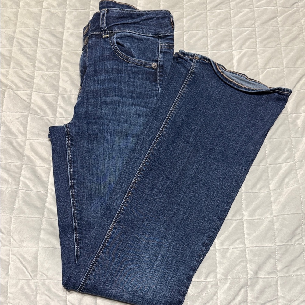 American Eagle Outfitters High Rise “Artist Flare” Dark Blue Jeans
